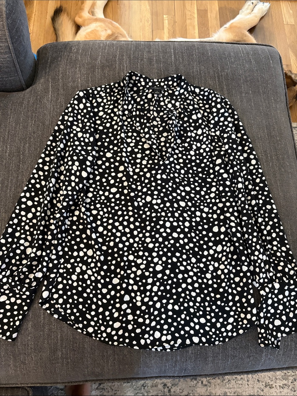 Ann Taylor Factory Black and White Polka Dot V-Neck Blouse